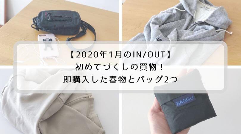 1月のin Out 初めてづくしの買い物 バッグ2つと春物を購入しました ふっころぐ